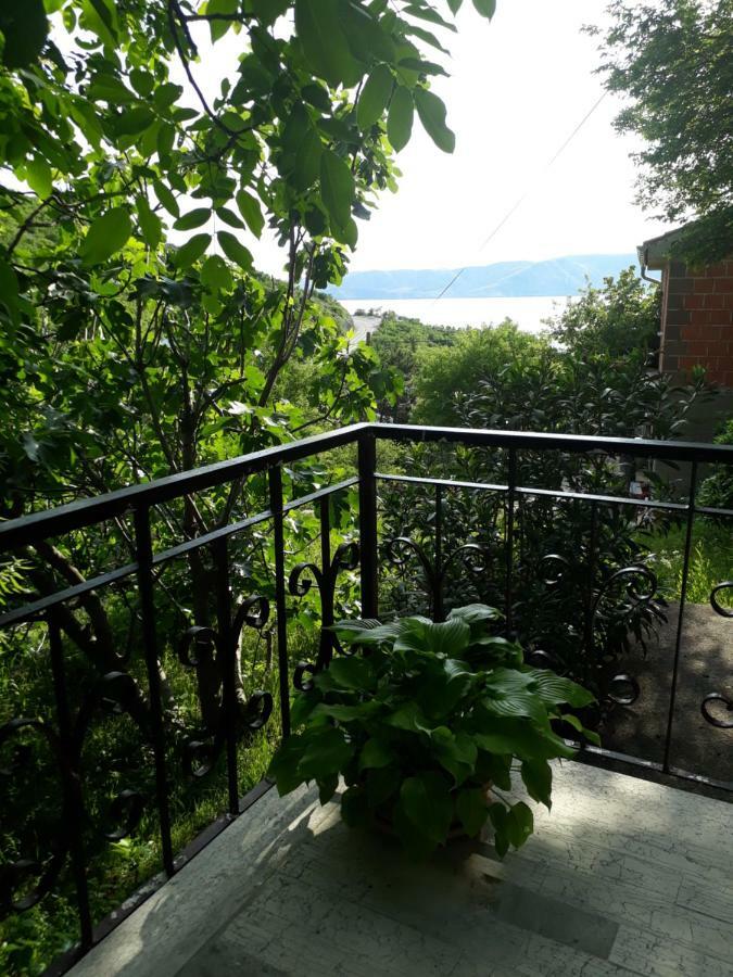 Apartments Lucija Сень Екстер'єр фото
